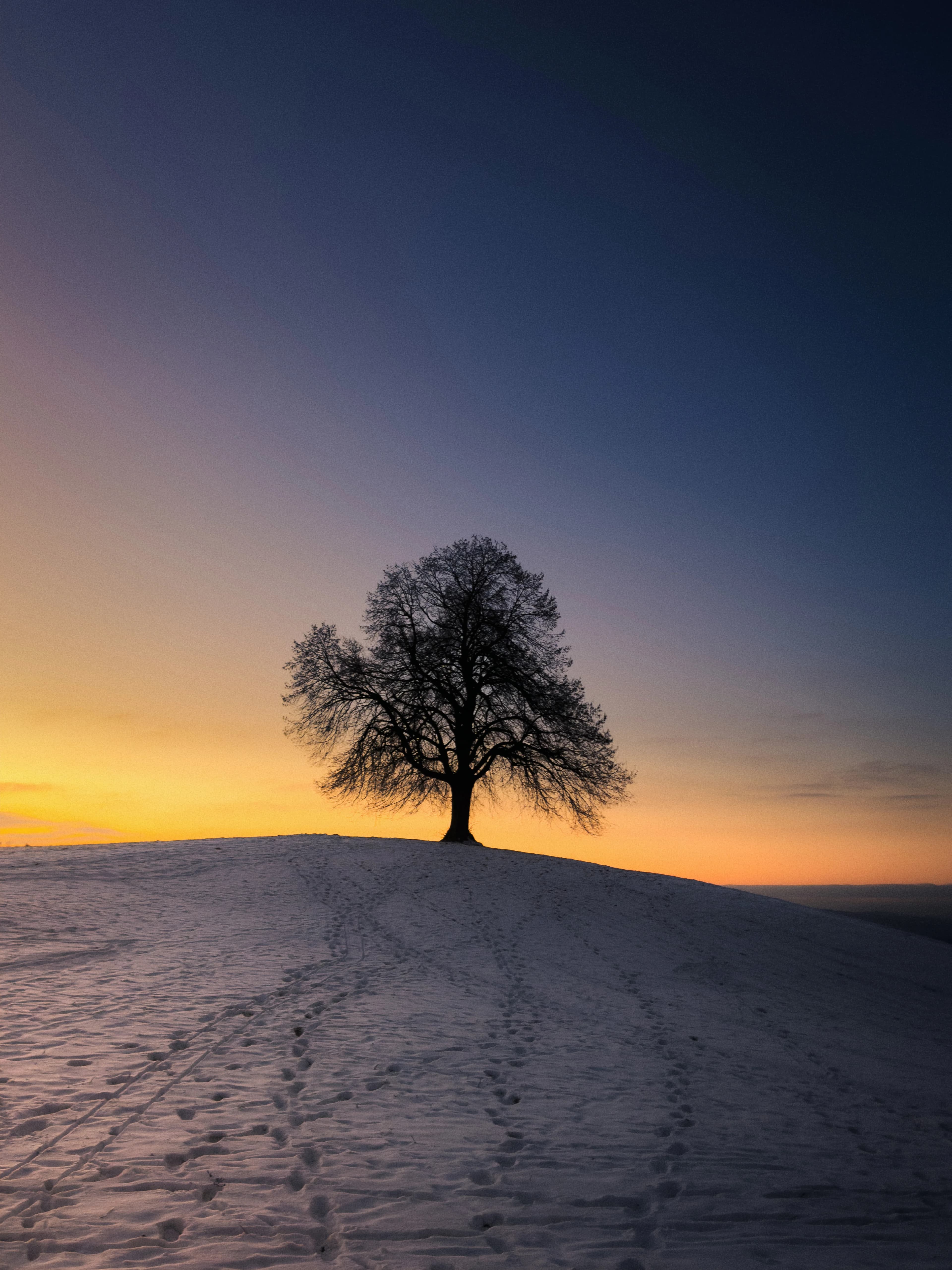 Striking photograph shot entirely on iPhone